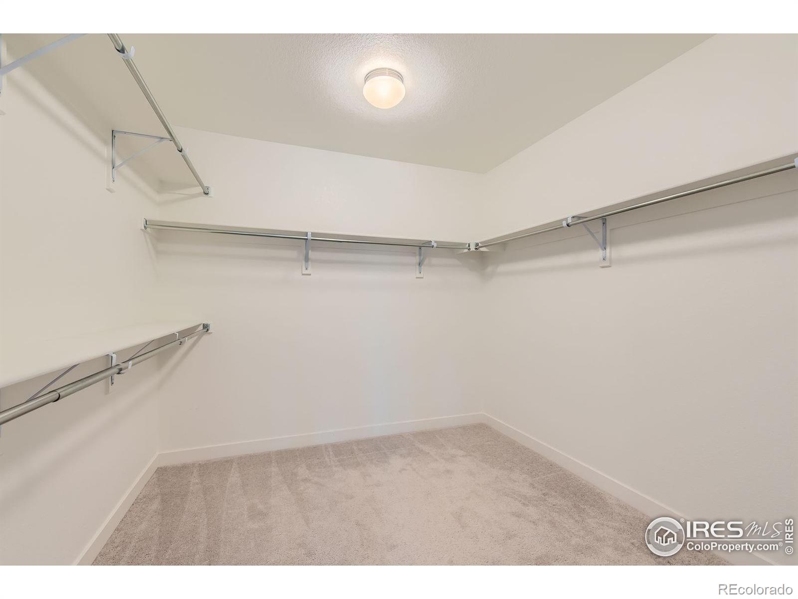MLS Image #17 for 8353  bijou creek avenue,littleton, Colorado