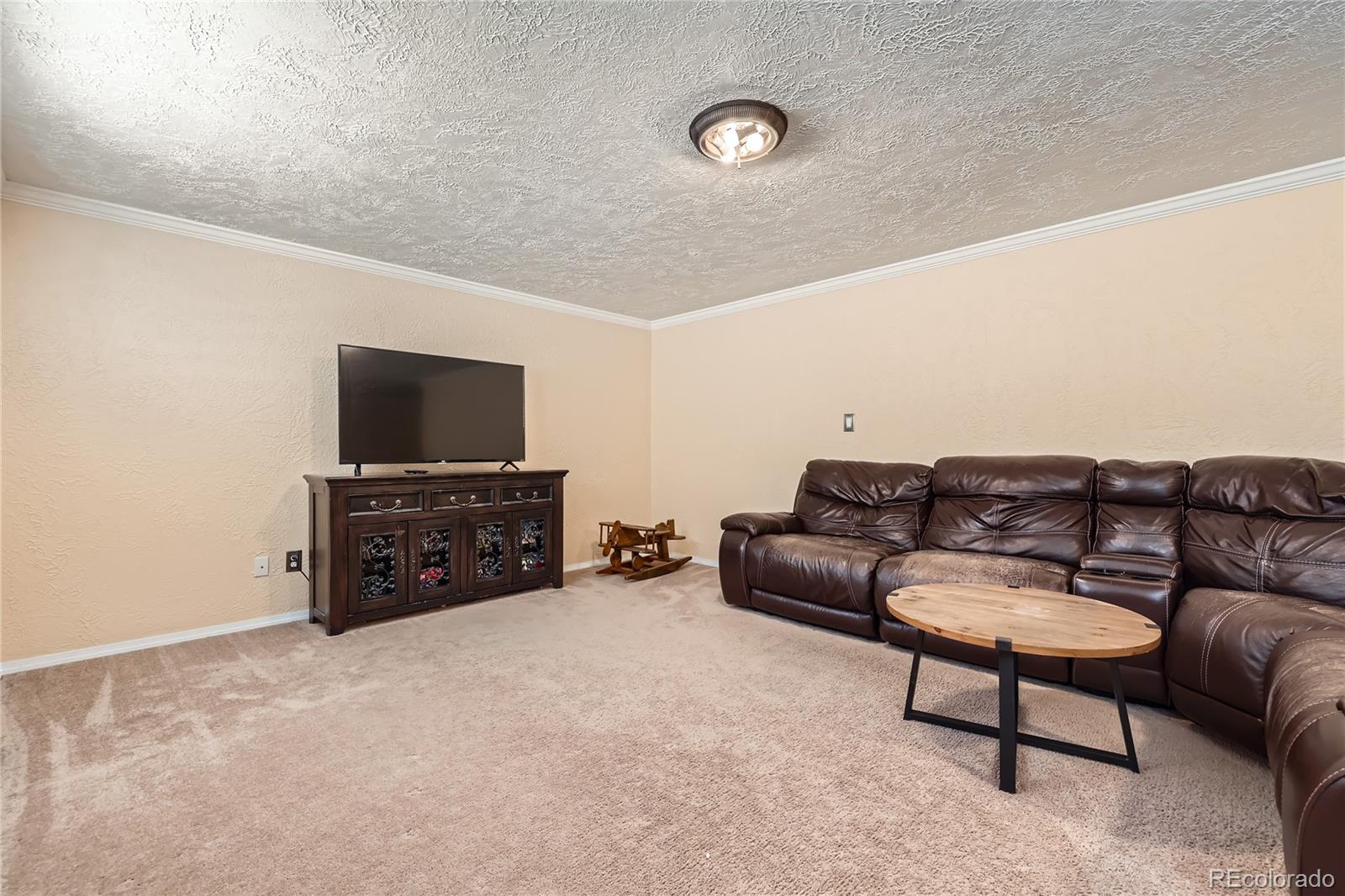 MLS Image #21 for 3660 e wade lane,colorado springs, Colorado