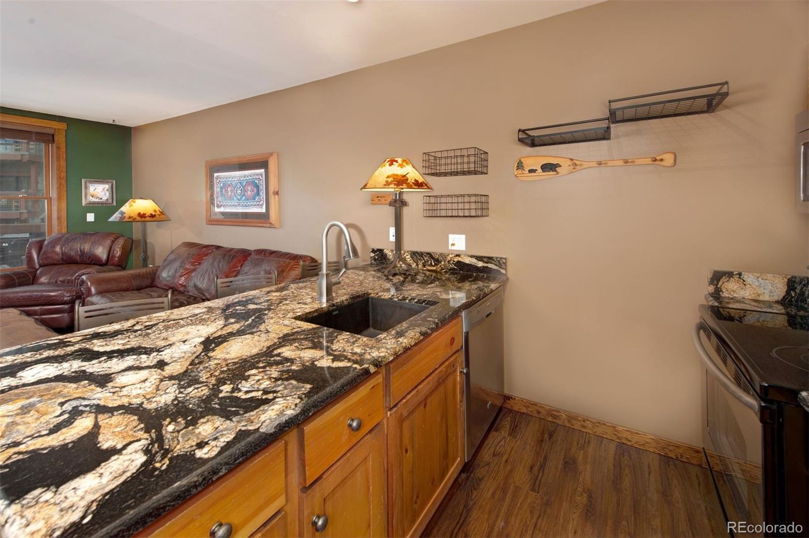 MLS Image #12 for 129  river run road,dillon, Colorado
