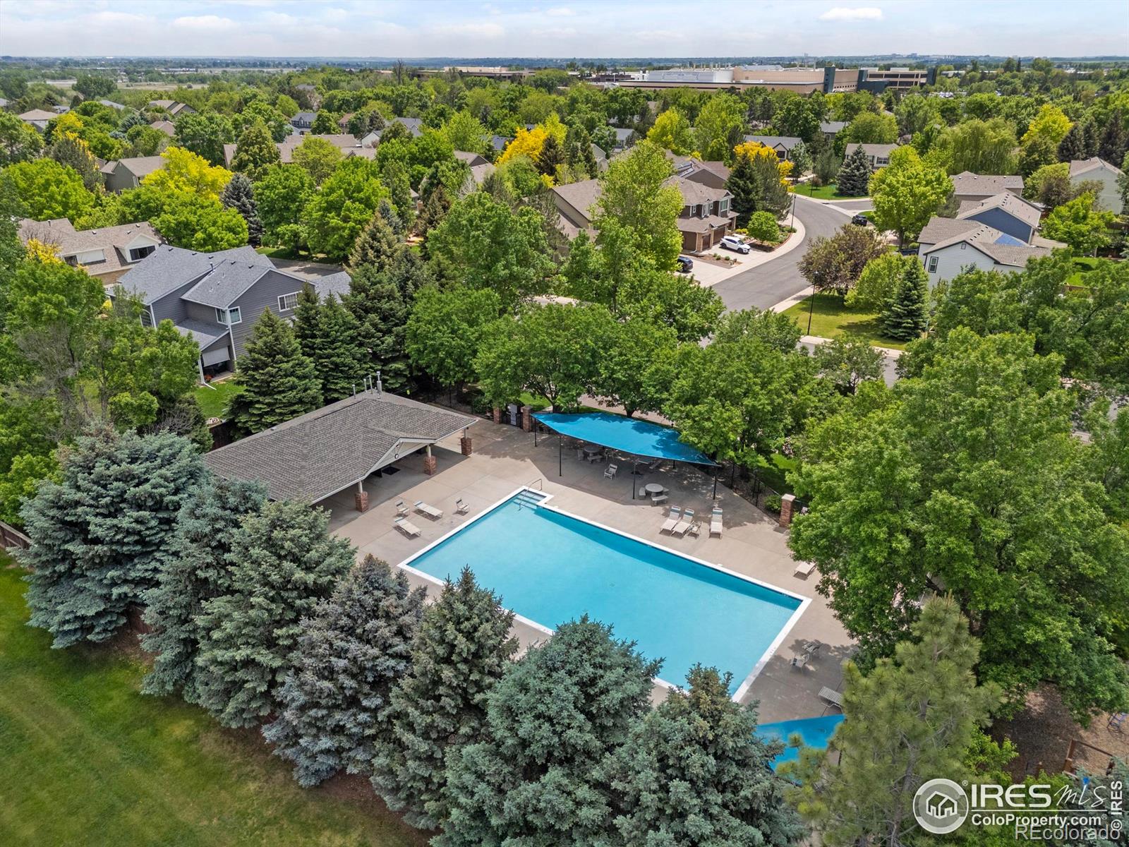MLS Image #36 for 3209  grand teton place,fort collins, Colorado