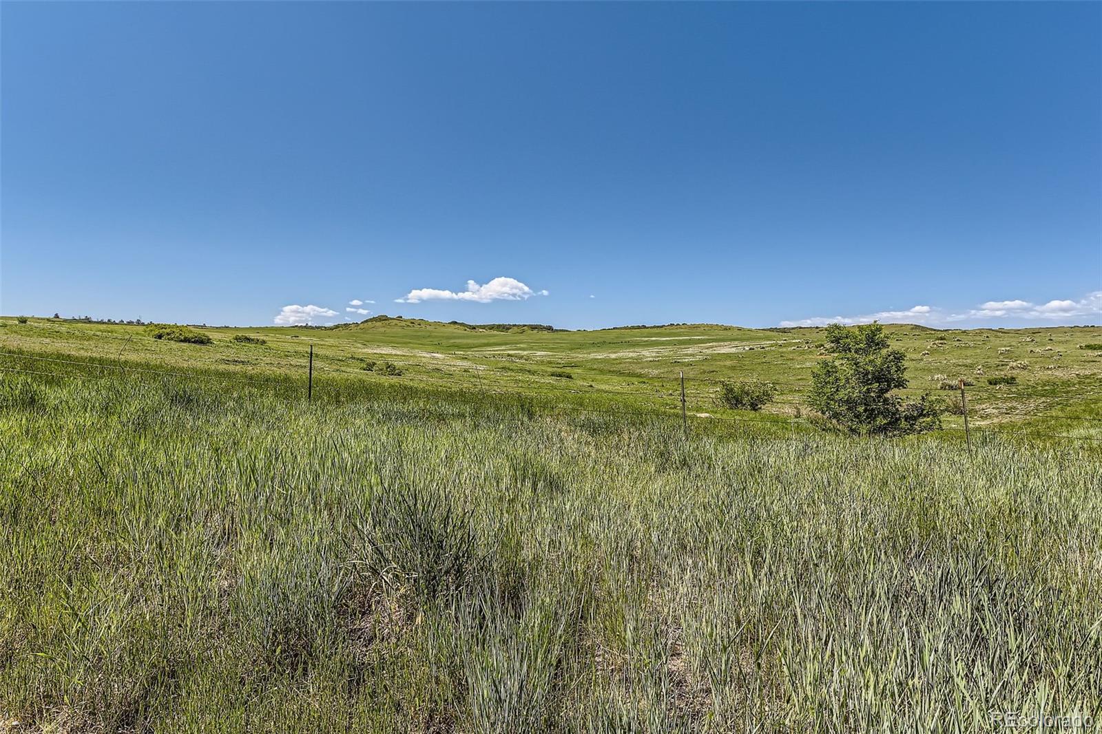 MLS Image #43 for 11074  grayledge circle,highlands ranch, Colorado