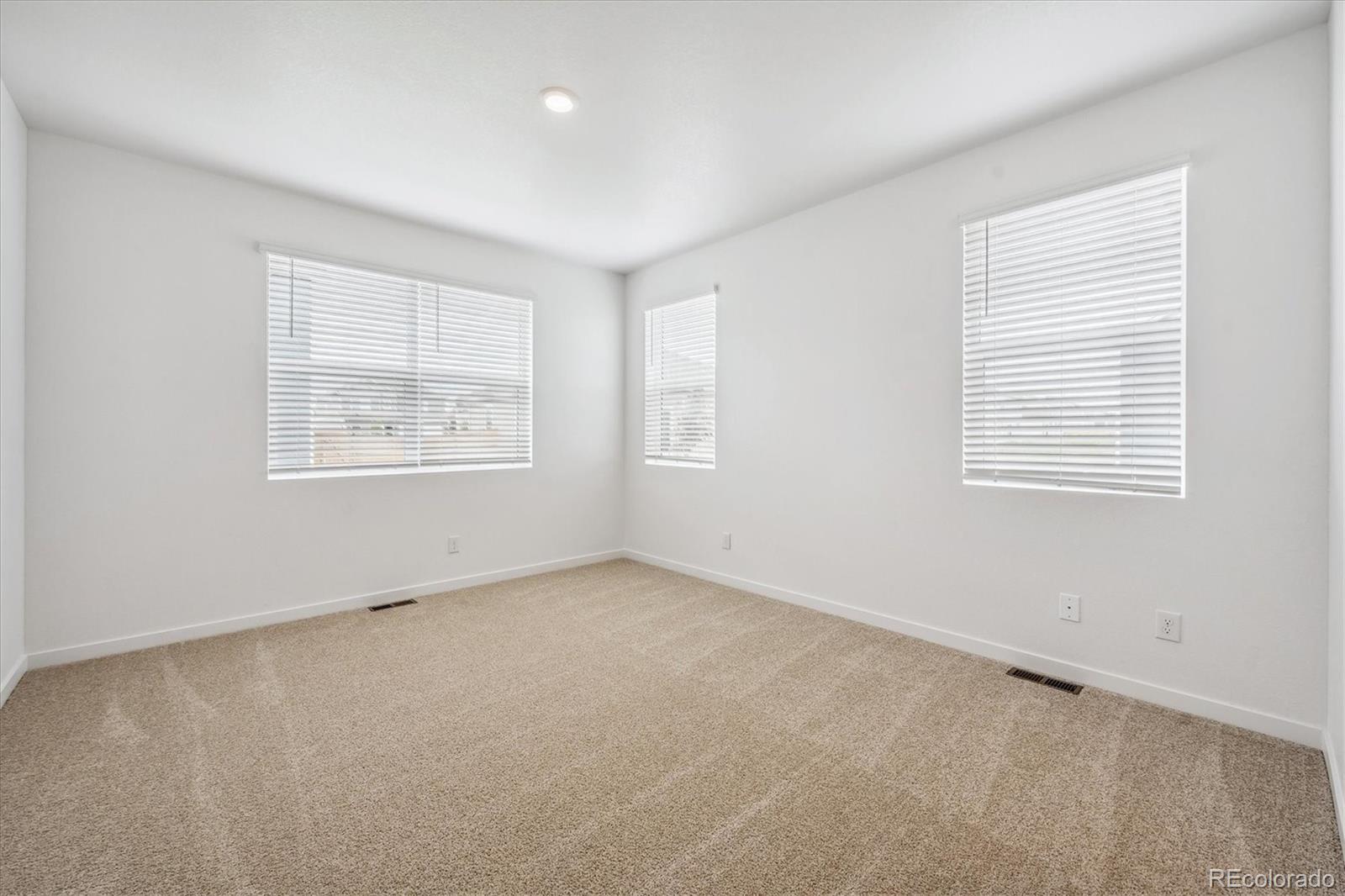 MLS Image #18 for 6345  globeflower street,wellington, Colorado