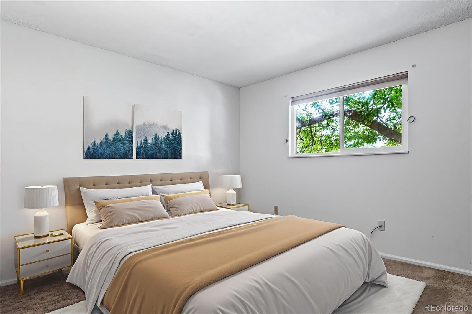 MLS Image #15 for 10007  bryant street,denver, Colorado