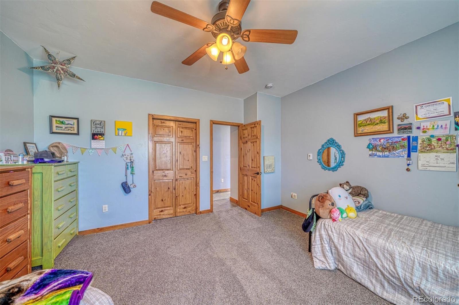 MLS Image #13 for 10757  vista farms court,salida, Colorado