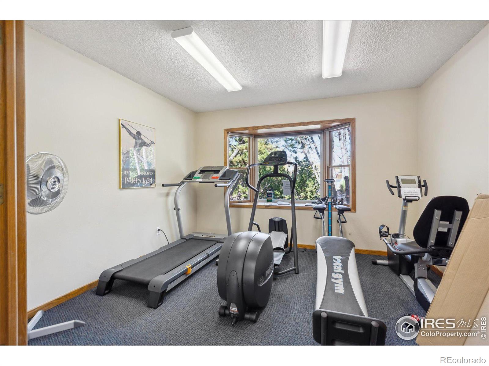 MLS Image #31 for 1596 w 29th street,loveland, Colorado