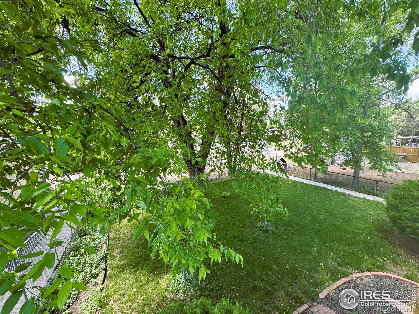 MLS Image #4 for 517  beattie street,sterling, Colorado