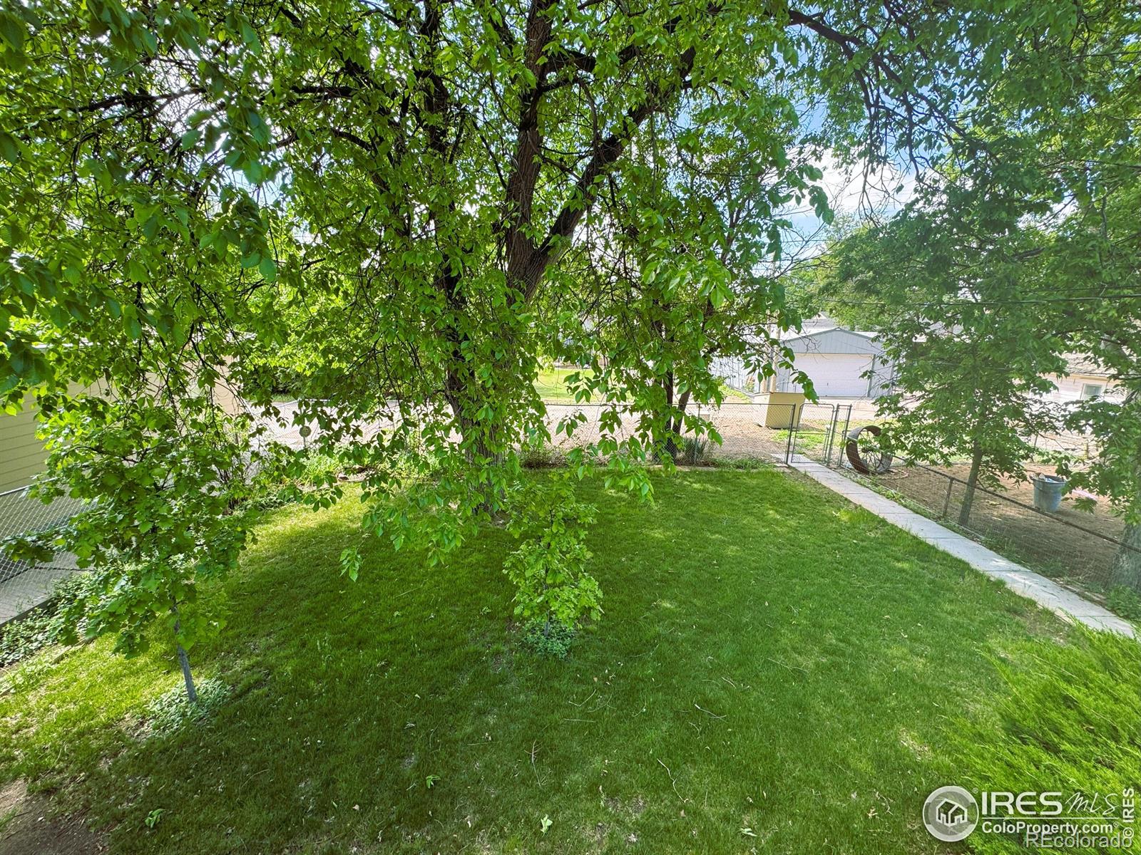 MLS Image #5 for 517  beattie street,sterling, Colorado