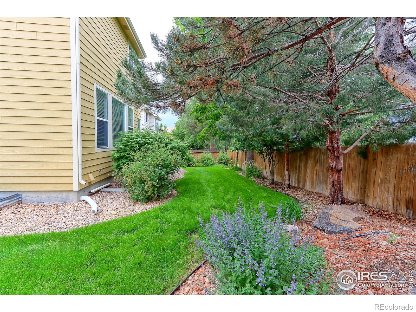 MLS Image #33 for 2631 e 136th place,thornton, Colorado