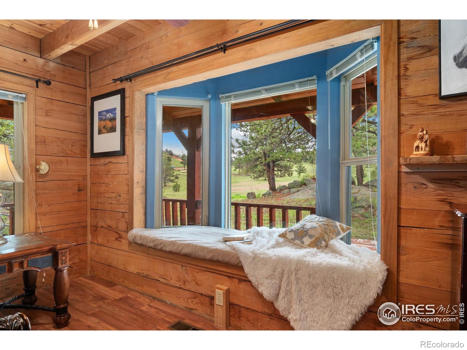 MLS Image #17 for 1084  iron mountain drive,livermore, Colorado
