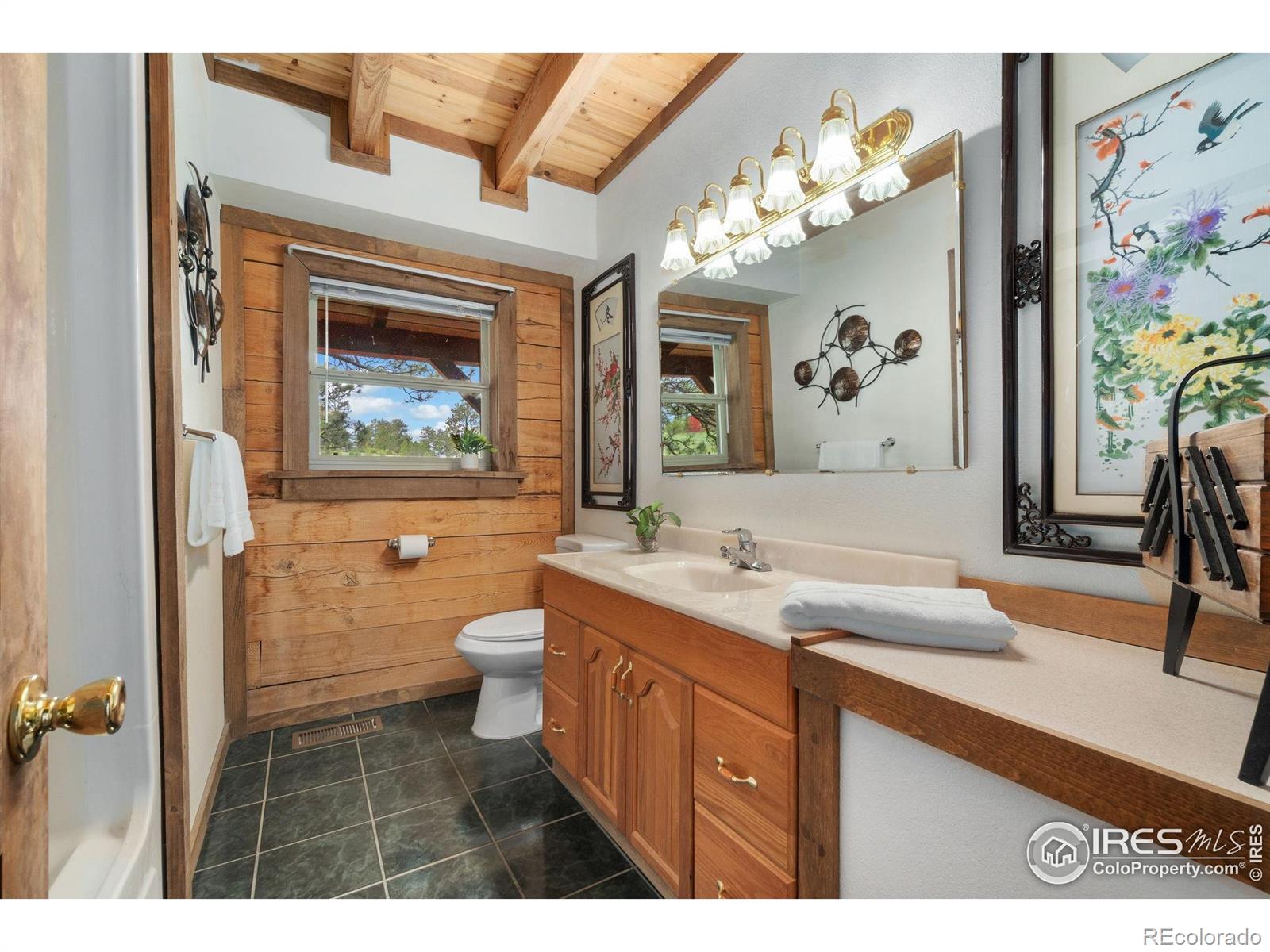 MLS Image #22 for 1084  iron mountain drive,livermore, Colorado
