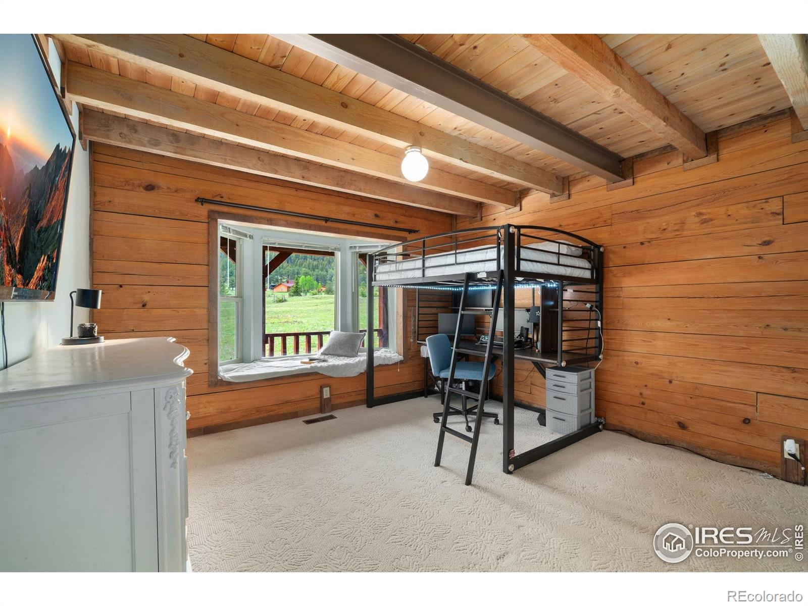 MLS Image #23 for 1084  iron mountain drive,livermore, Colorado