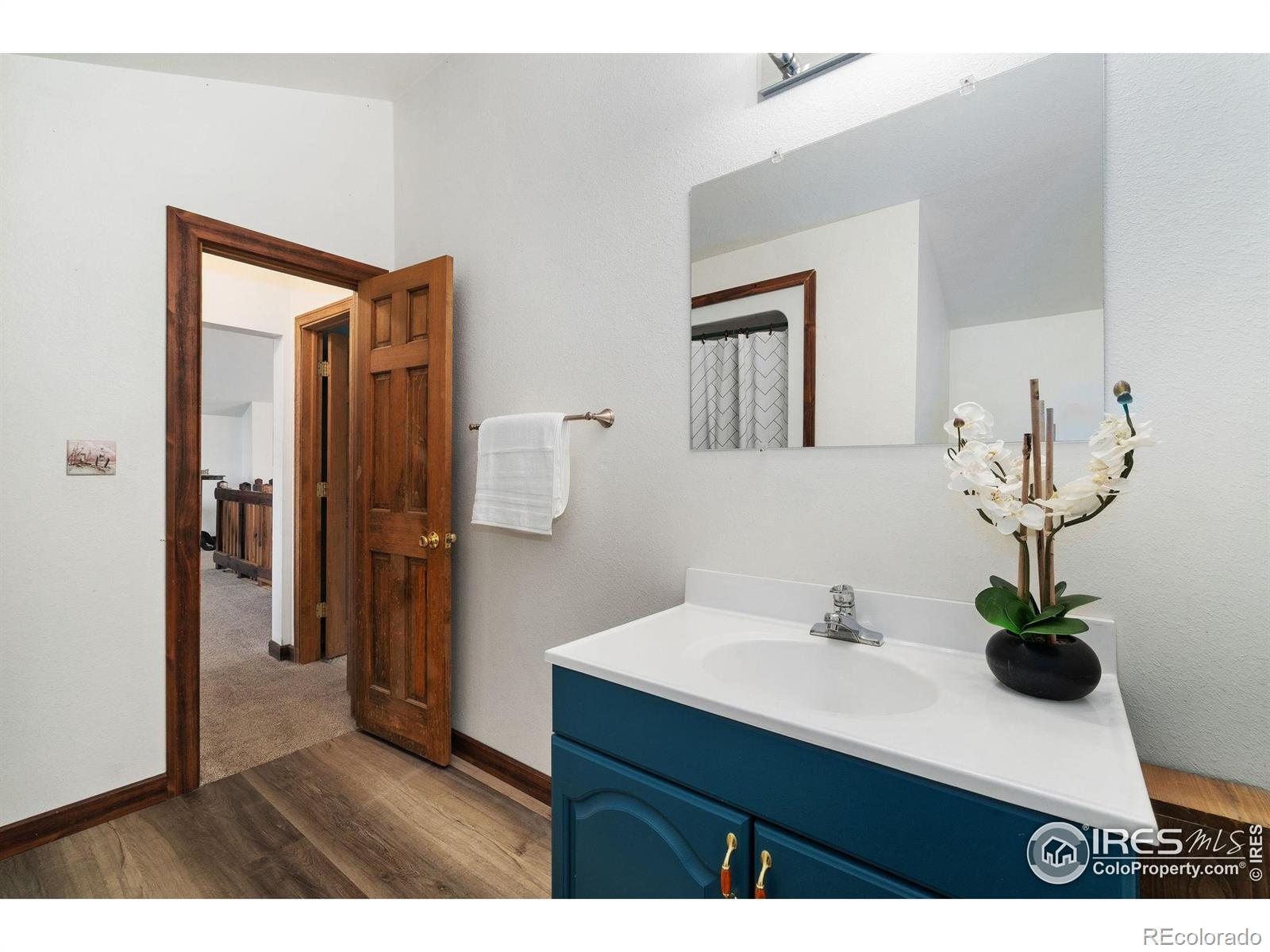 MLS Image #29 for 1084  iron mountain drive,livermore, Colorado