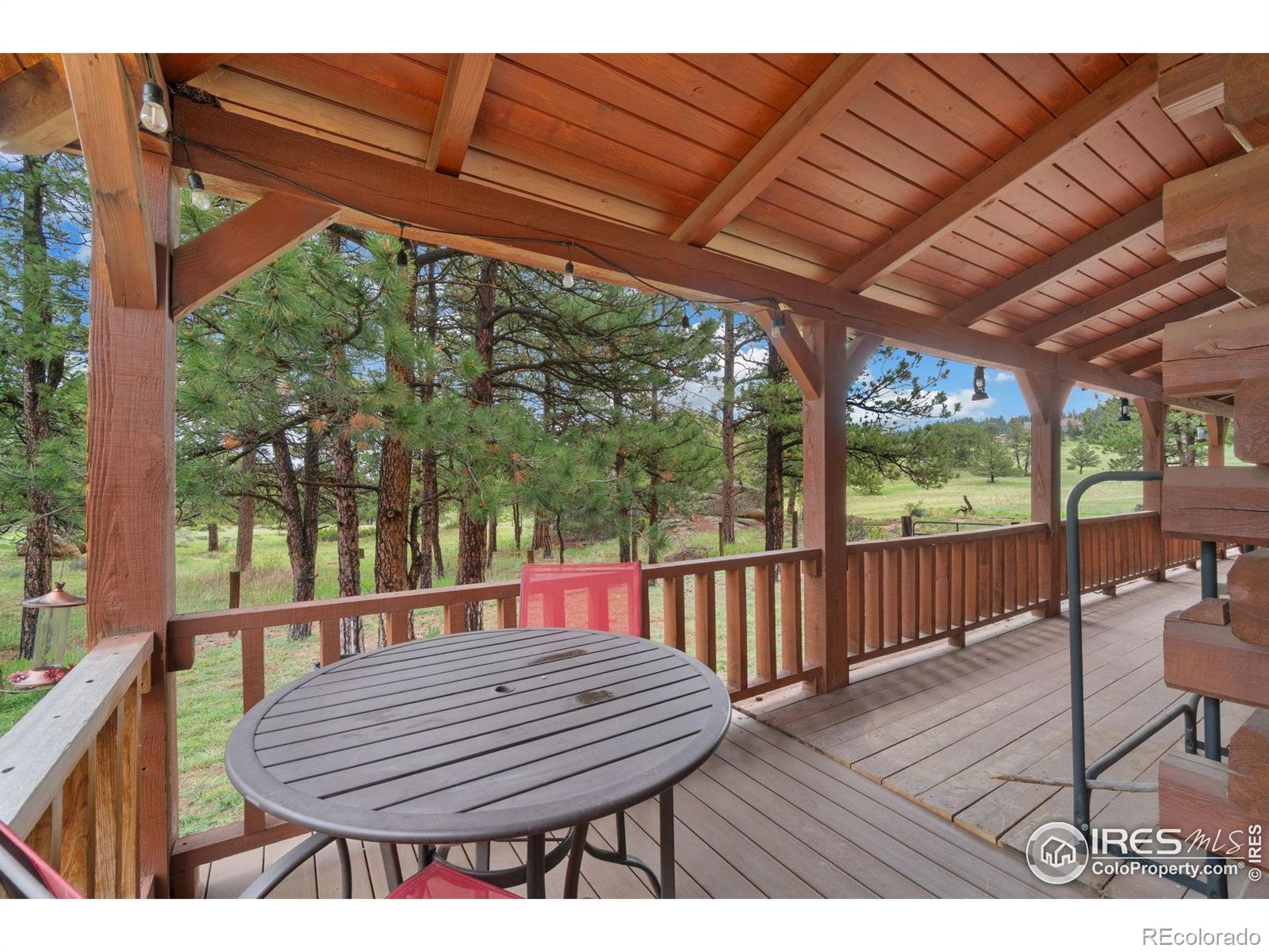 MLS Image #5 for 1084  iron mountain drive,livermore, Colorado