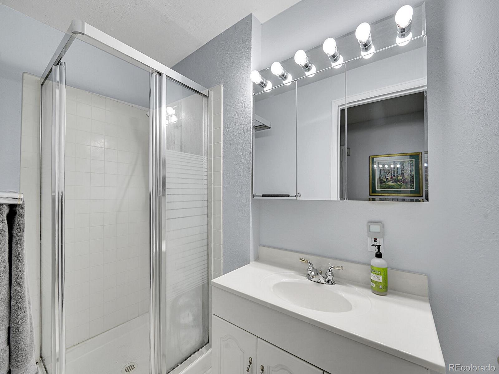 MLS Image #27 for 8838 s dudley street,littleton, Colorado
