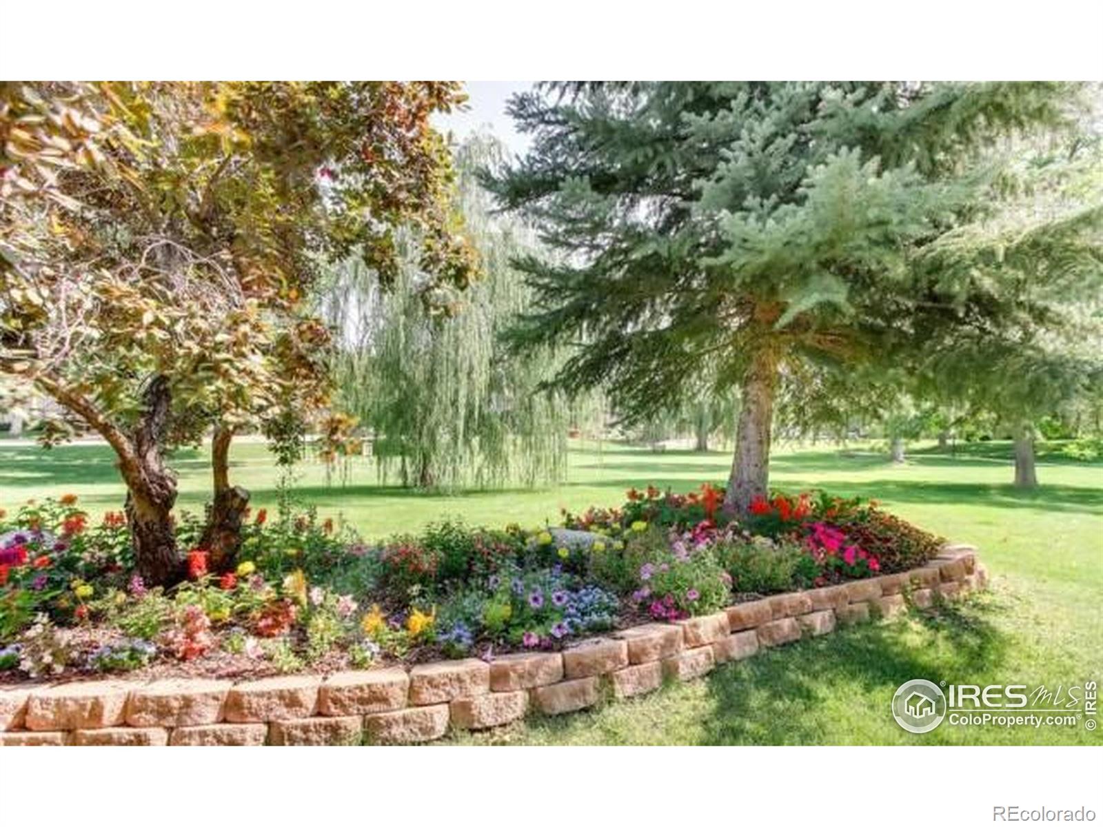 MLS Image #38 for 5950  gunbarrel avenue,boulder, Colorado
