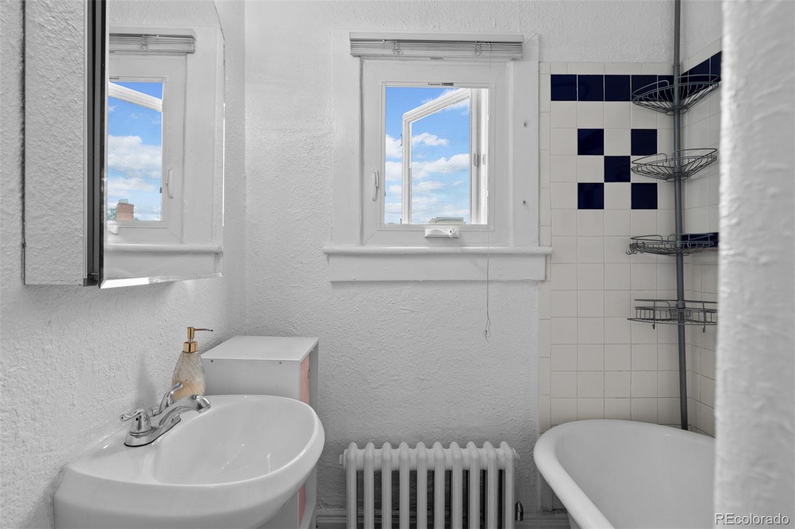 MLS Image #18 for 1136 n logan street,denver, Colorado