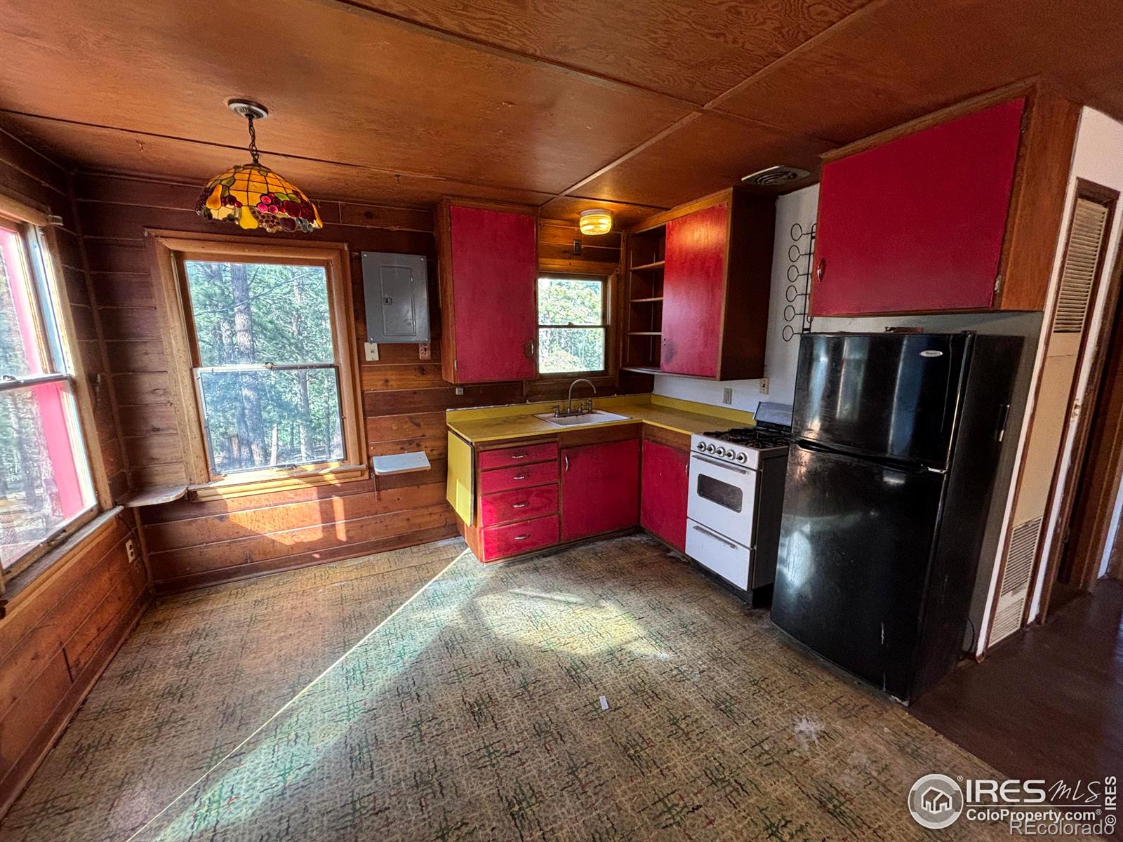 MLS Image #4 for 264  harris street,bailey, Colorado