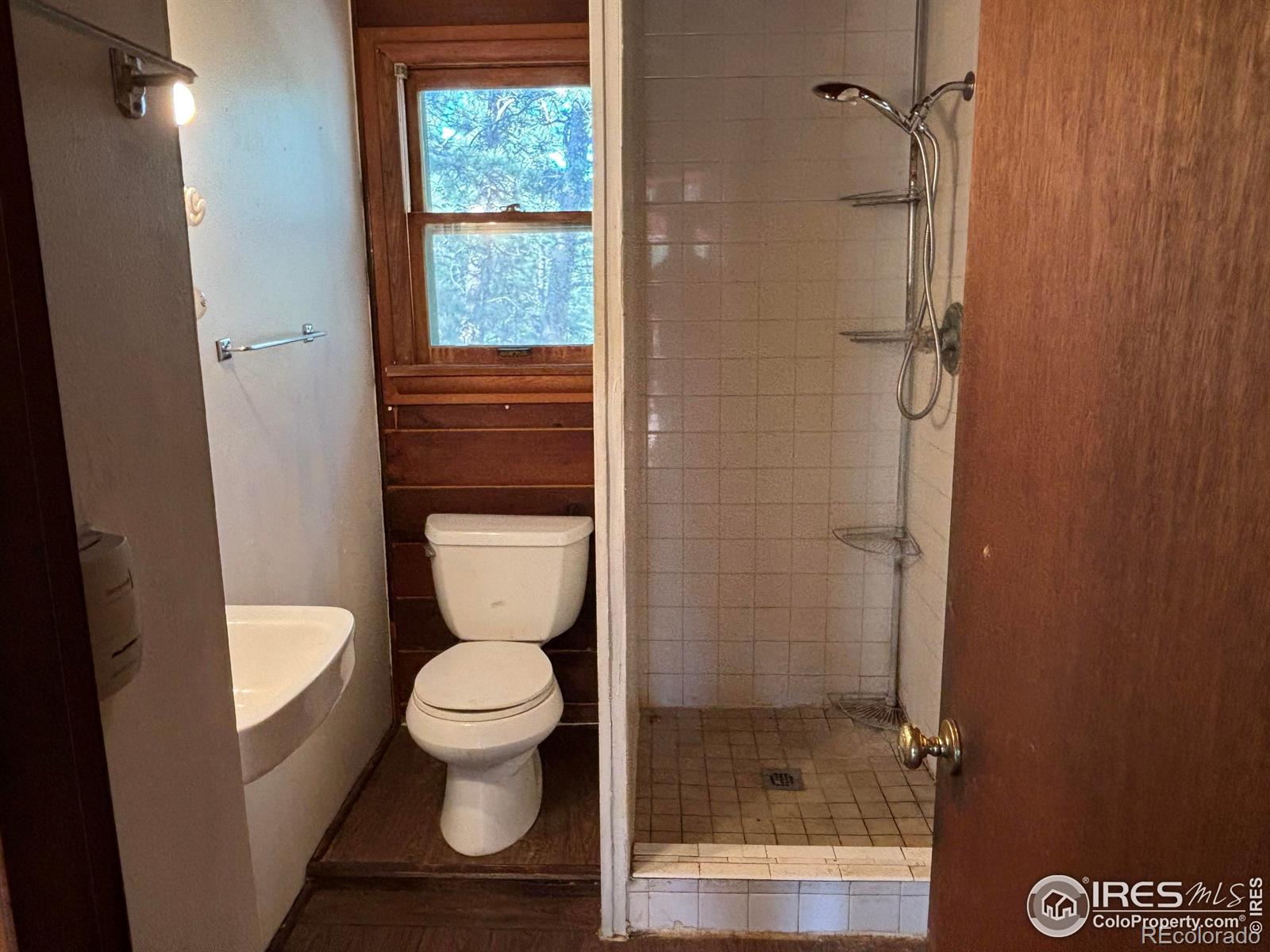 MLS Image #7 for 264  harris street,bailey, Colorado