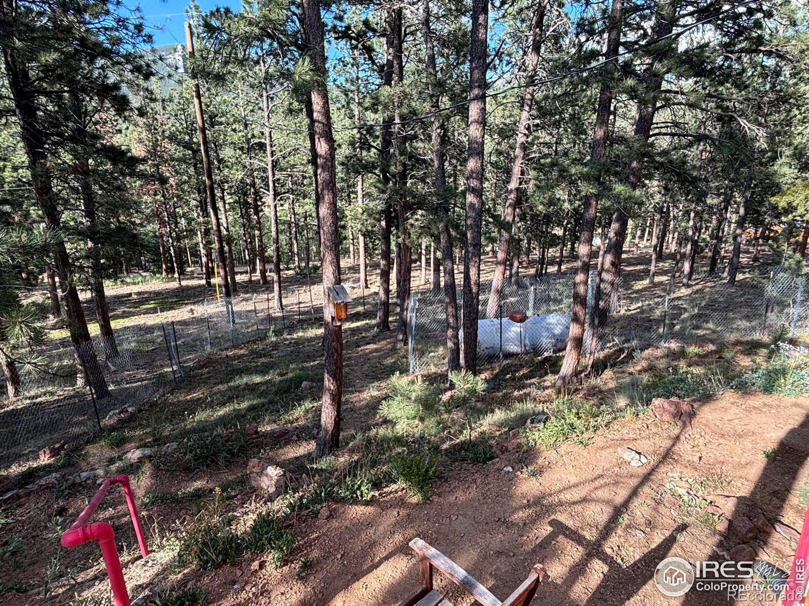 MLS Image #8 for 264  harris street,bailey, Colorado
