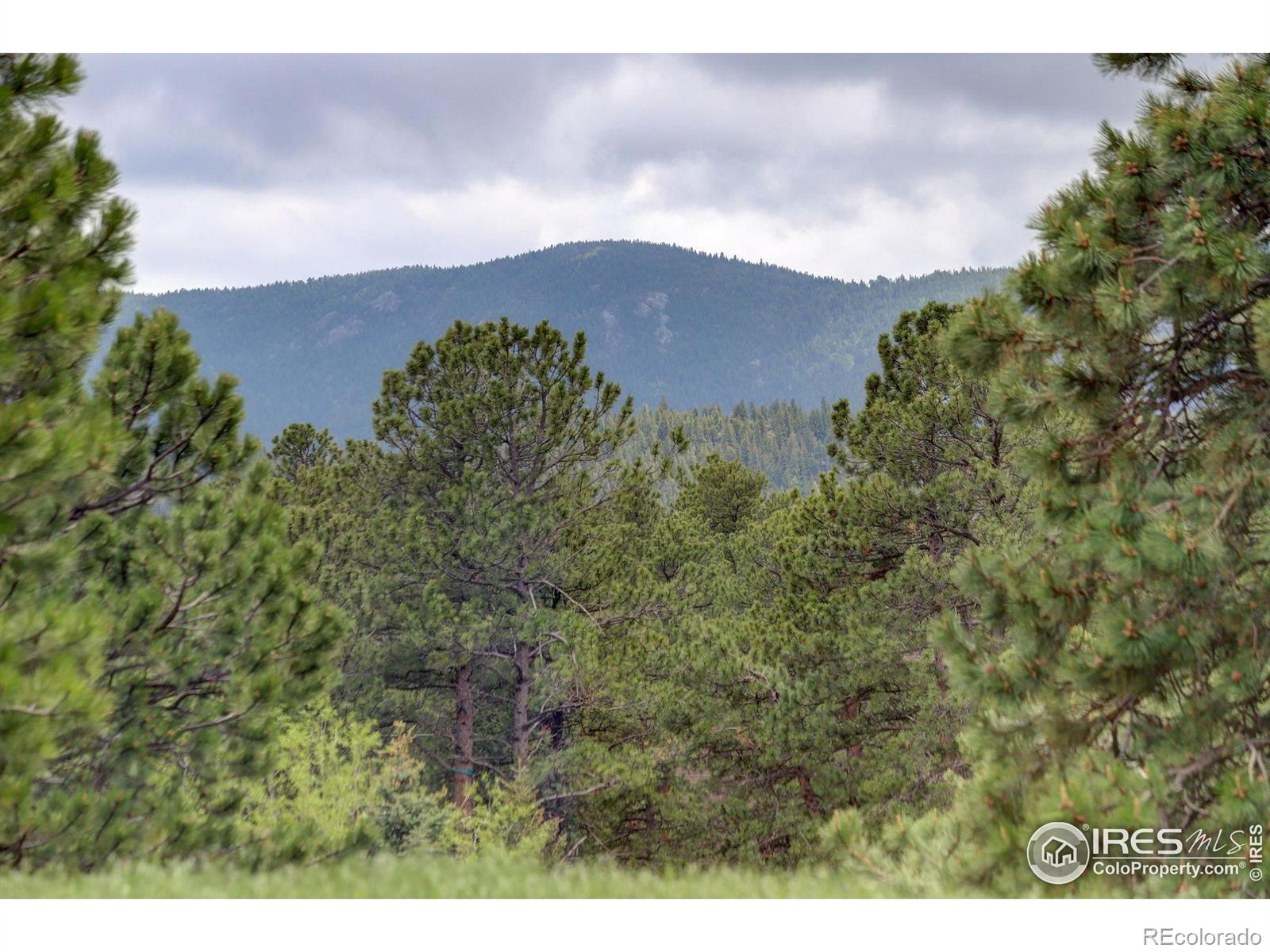 MLS Image #16 for 849  mountain meadows road,boulder, Colorado