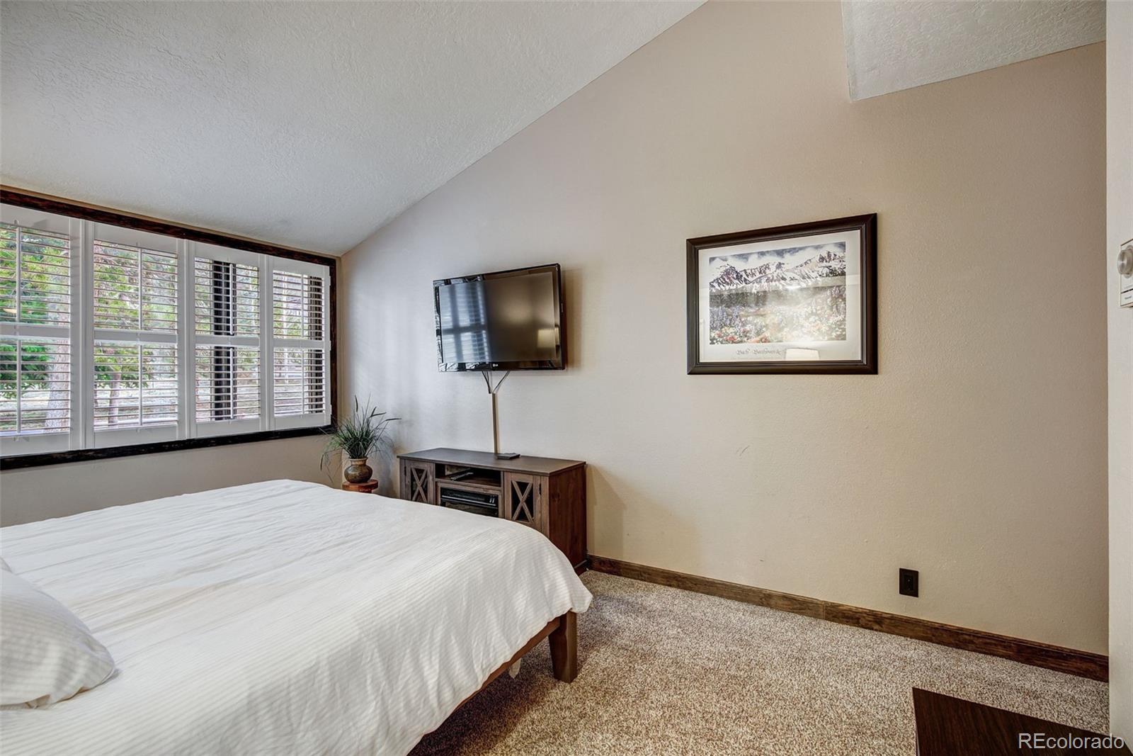 MLS Image #15 for 21690  us highway 6 ,keystone, Colorado