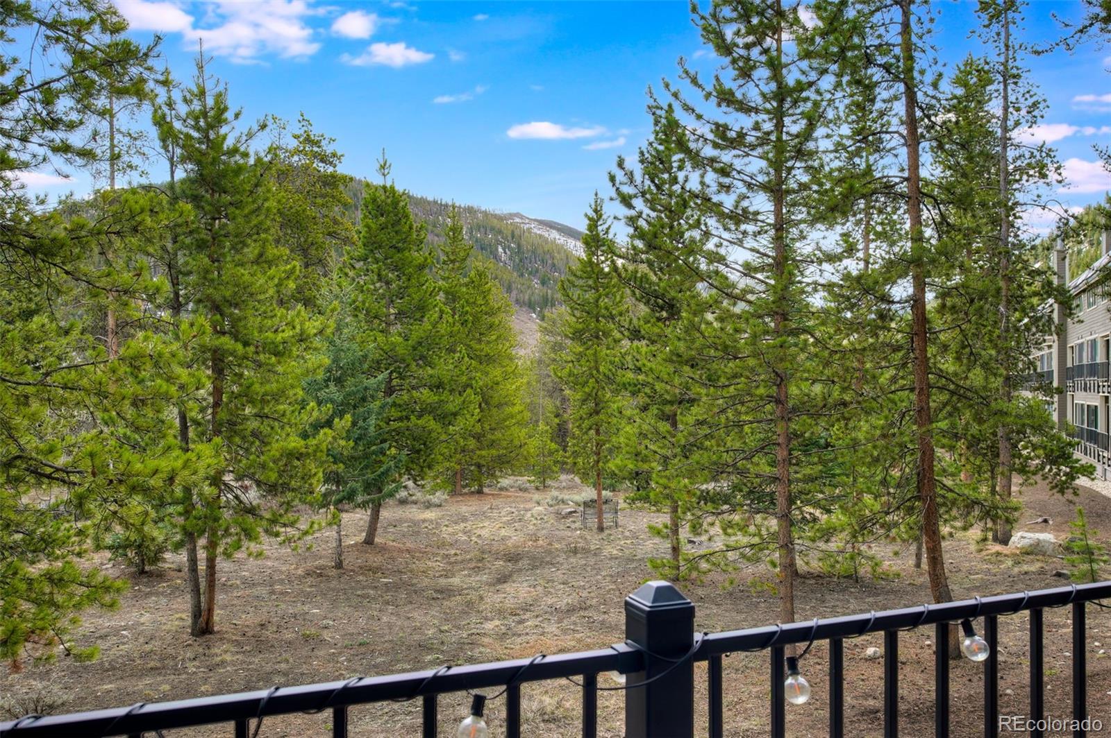 MLS Image #26 for 21690  us highway 6 ,keystone, Colorado