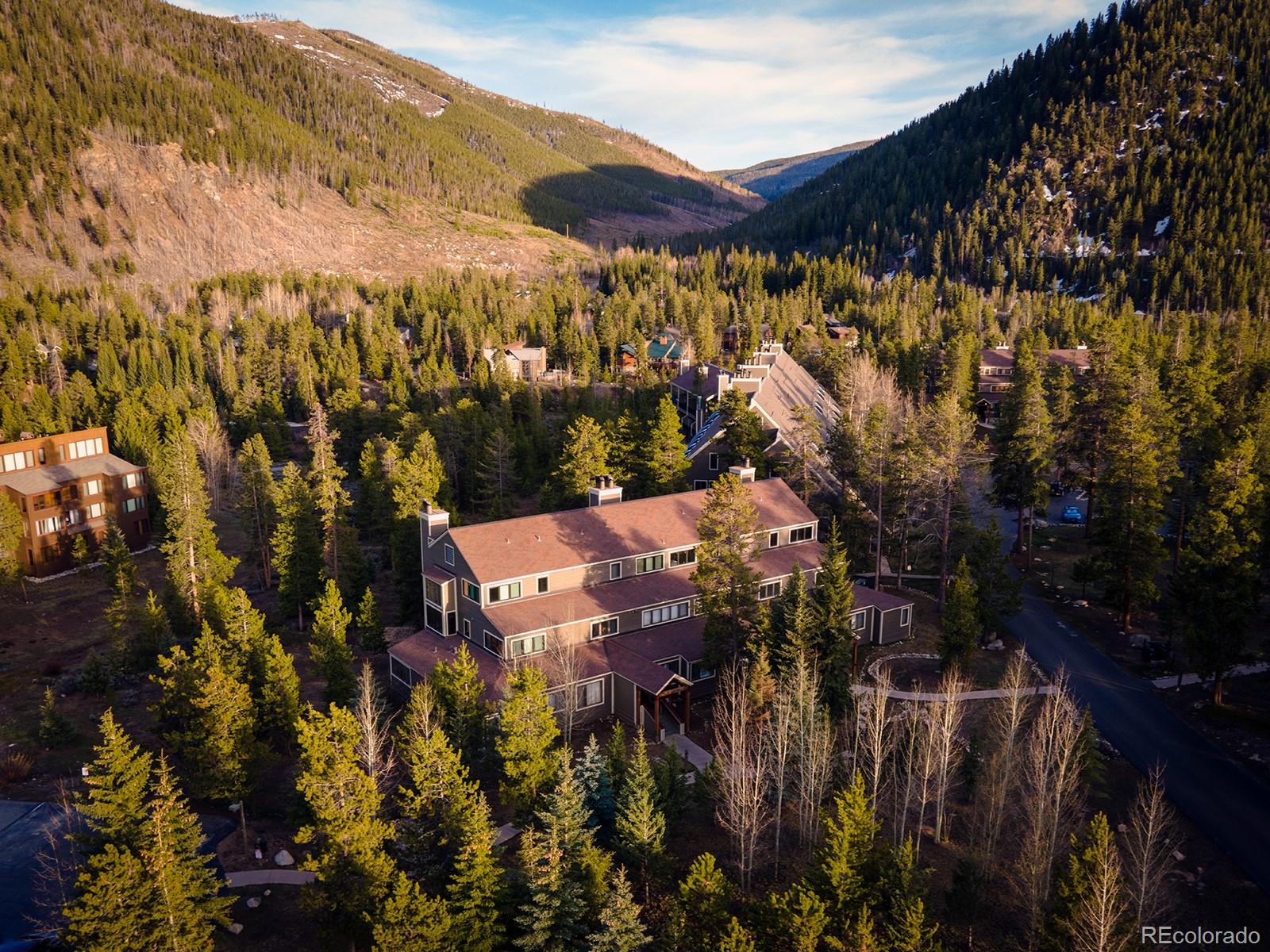 MLS Image #39 for 21690  us highway 6 ,keystone, Colorado