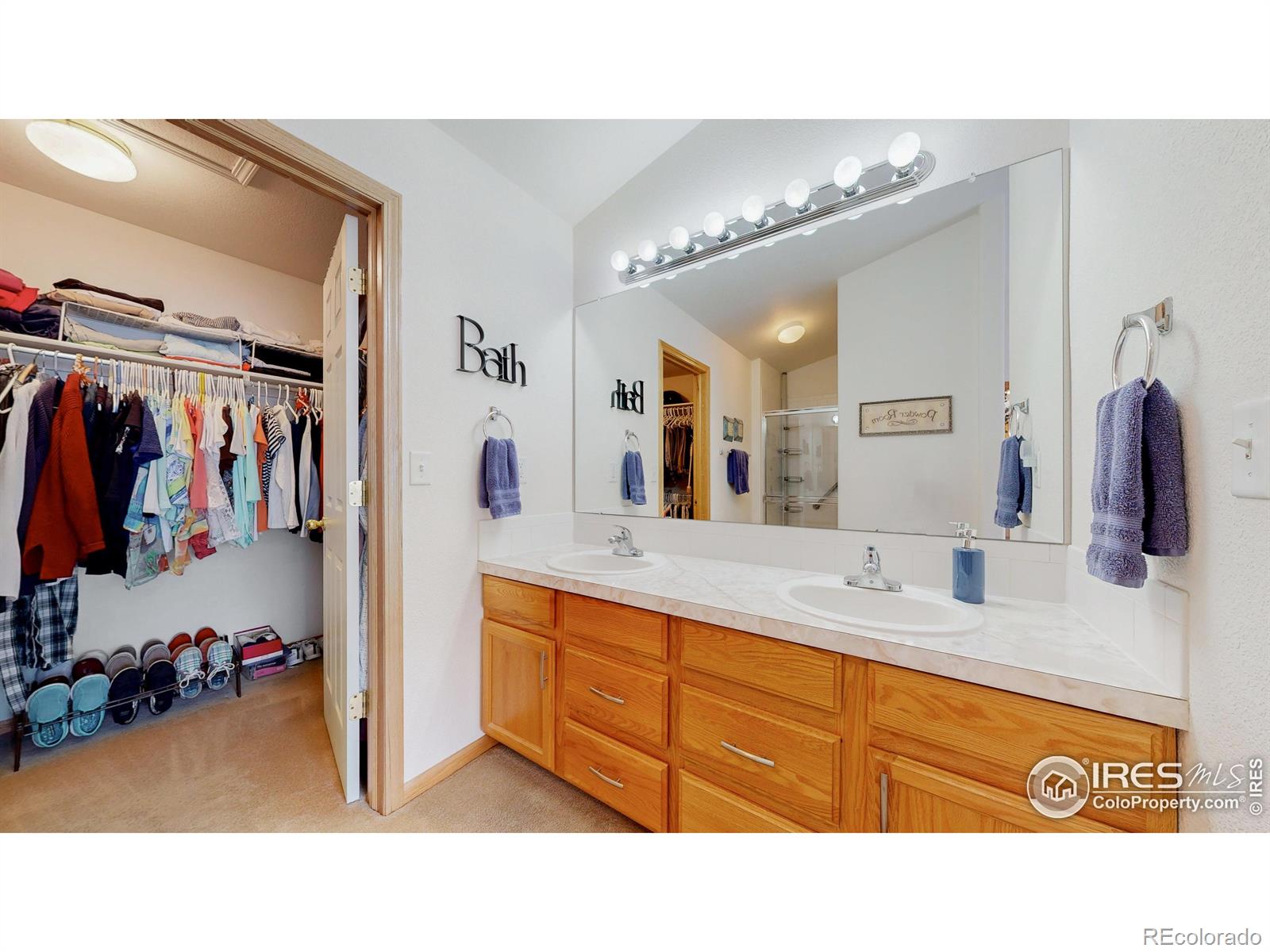 MLS Image #17 for 3244  mammoth circle,wellington, Colorado