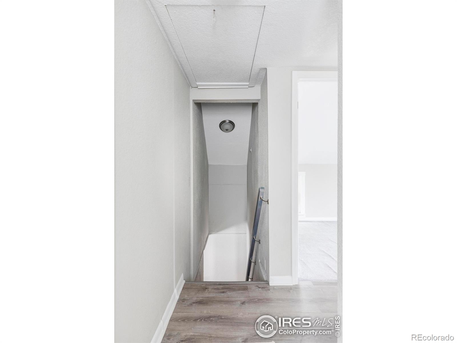 MLS Image #19 for 2565  pierce street,lakewood, Colorado