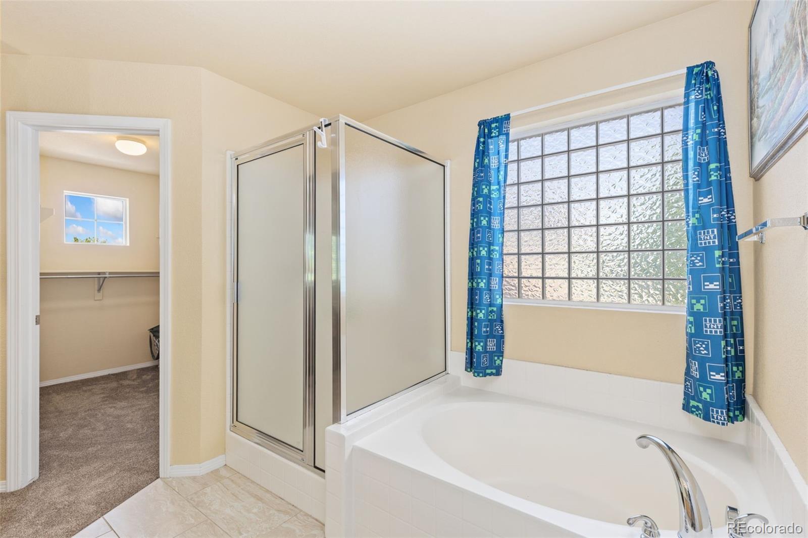MLS Image #12 for 670  short court,dacono, Colorado