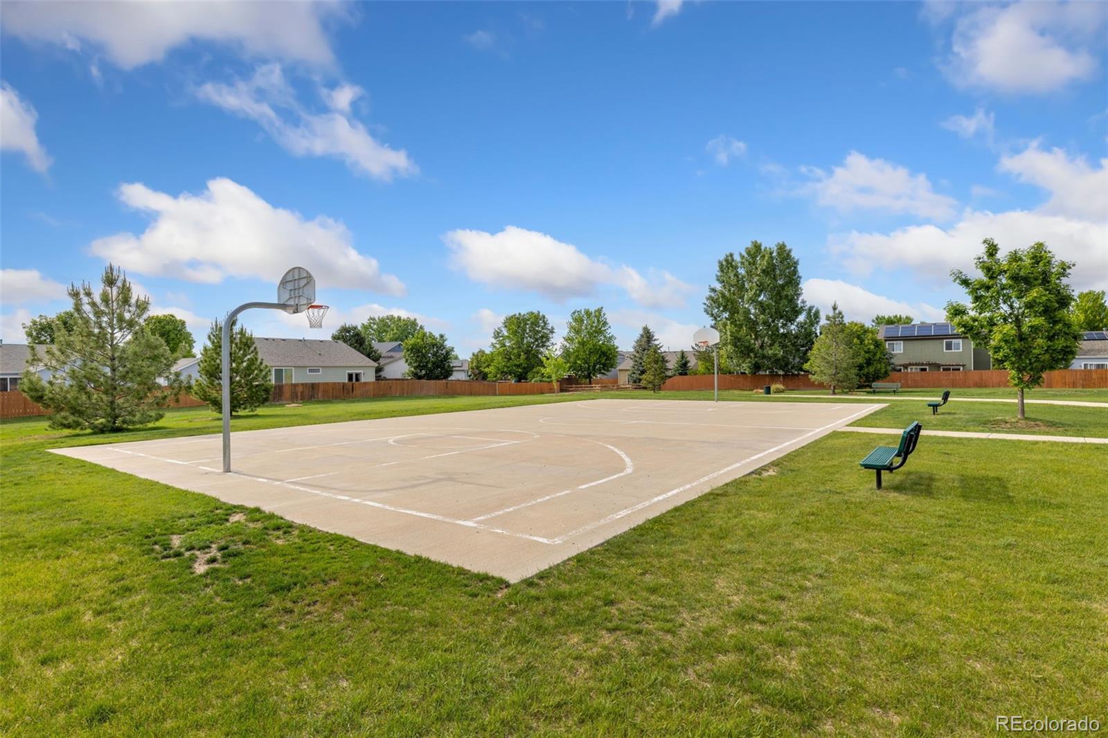 MLS Image #23 for 670  short court,dacono, Colorado