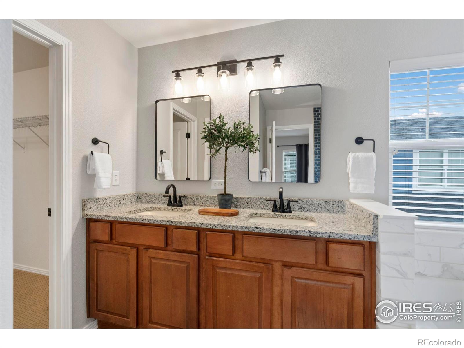 MLS Image #16 for 2633  rock creek drive,fort collins, Colorado