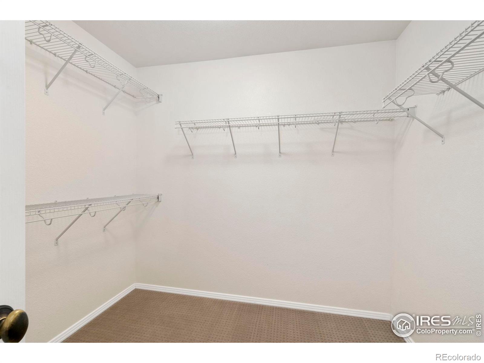 MLS Image #17 for 2633  rock creek drive,fort collins, Colorado