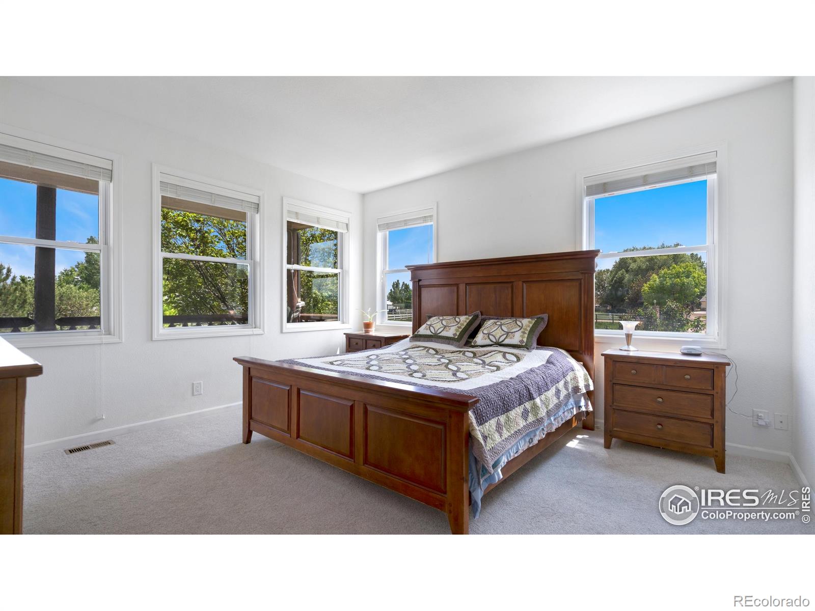 MLS Image #12 for 75  pleasant view drive,loveland, Colorado