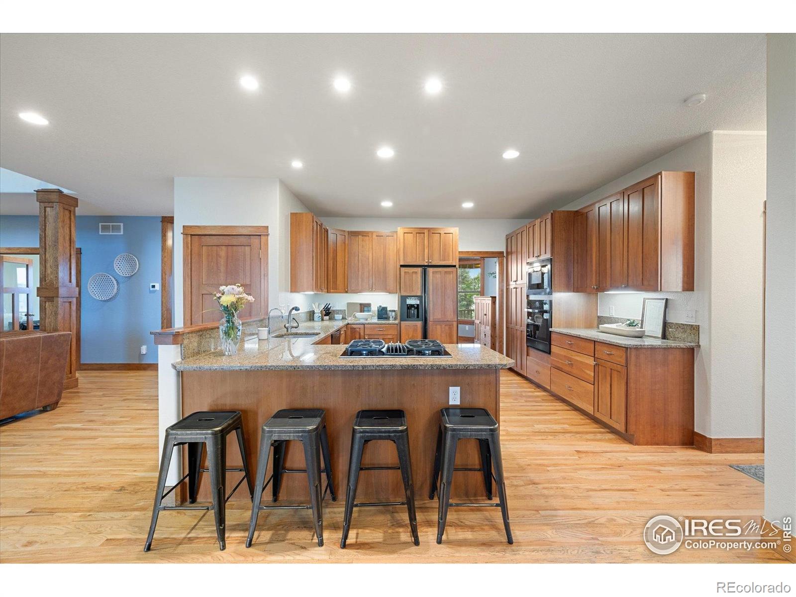 MLS Image #11 for 1625  peak lane,erie, Colorado