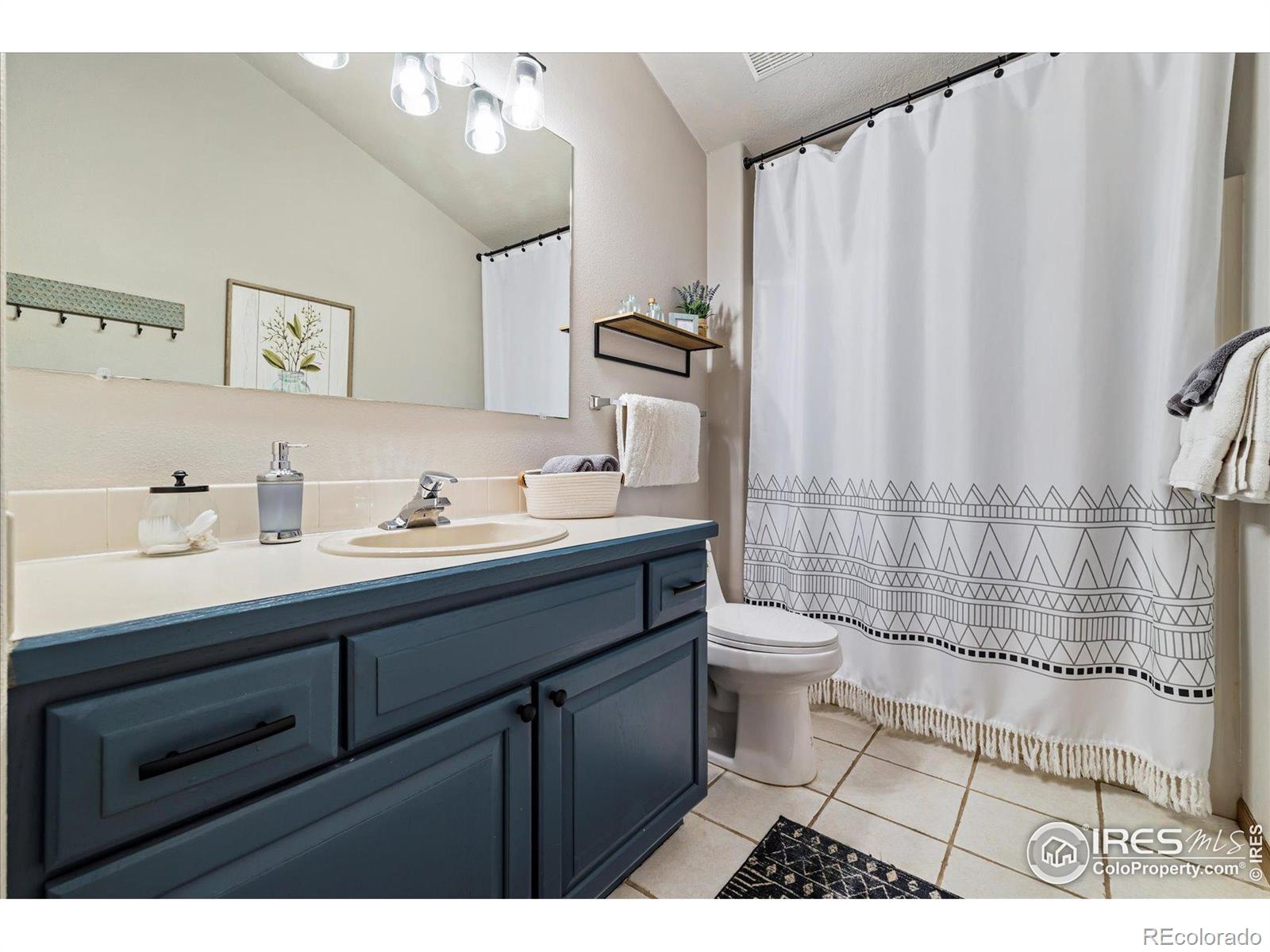 MLS Image #15 for 1954  bluestem way,fairplay, Colorado
