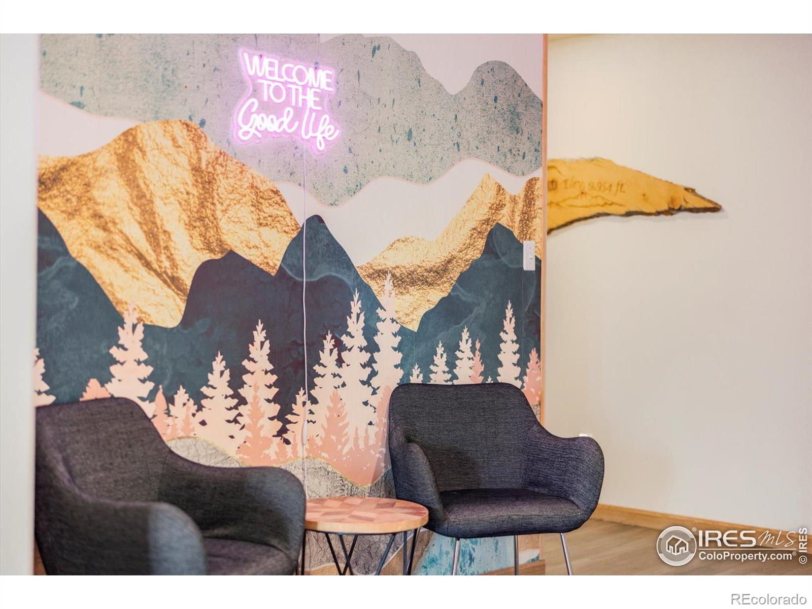 MLS Image #20 for 1954  bluestem way,fairplay, Colorado
