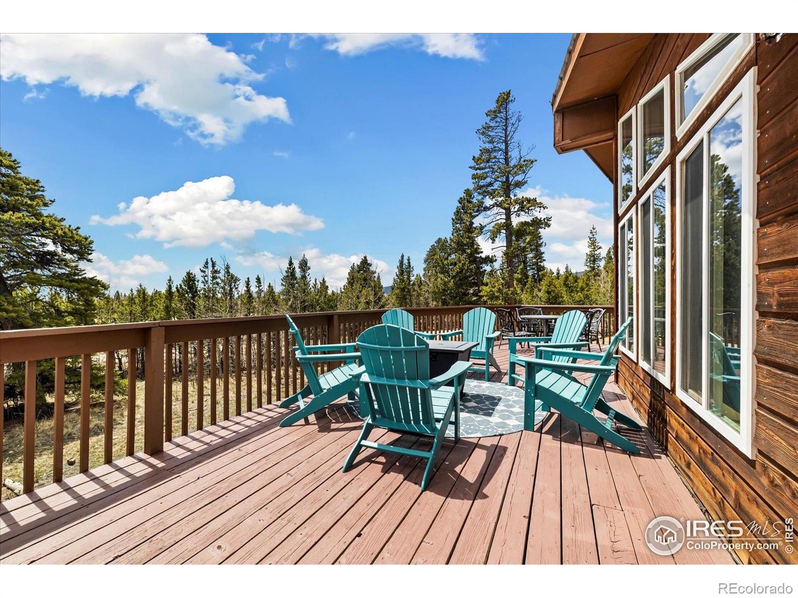MLS Image #25 for 1954  bluestem way,fairplay, Colorado