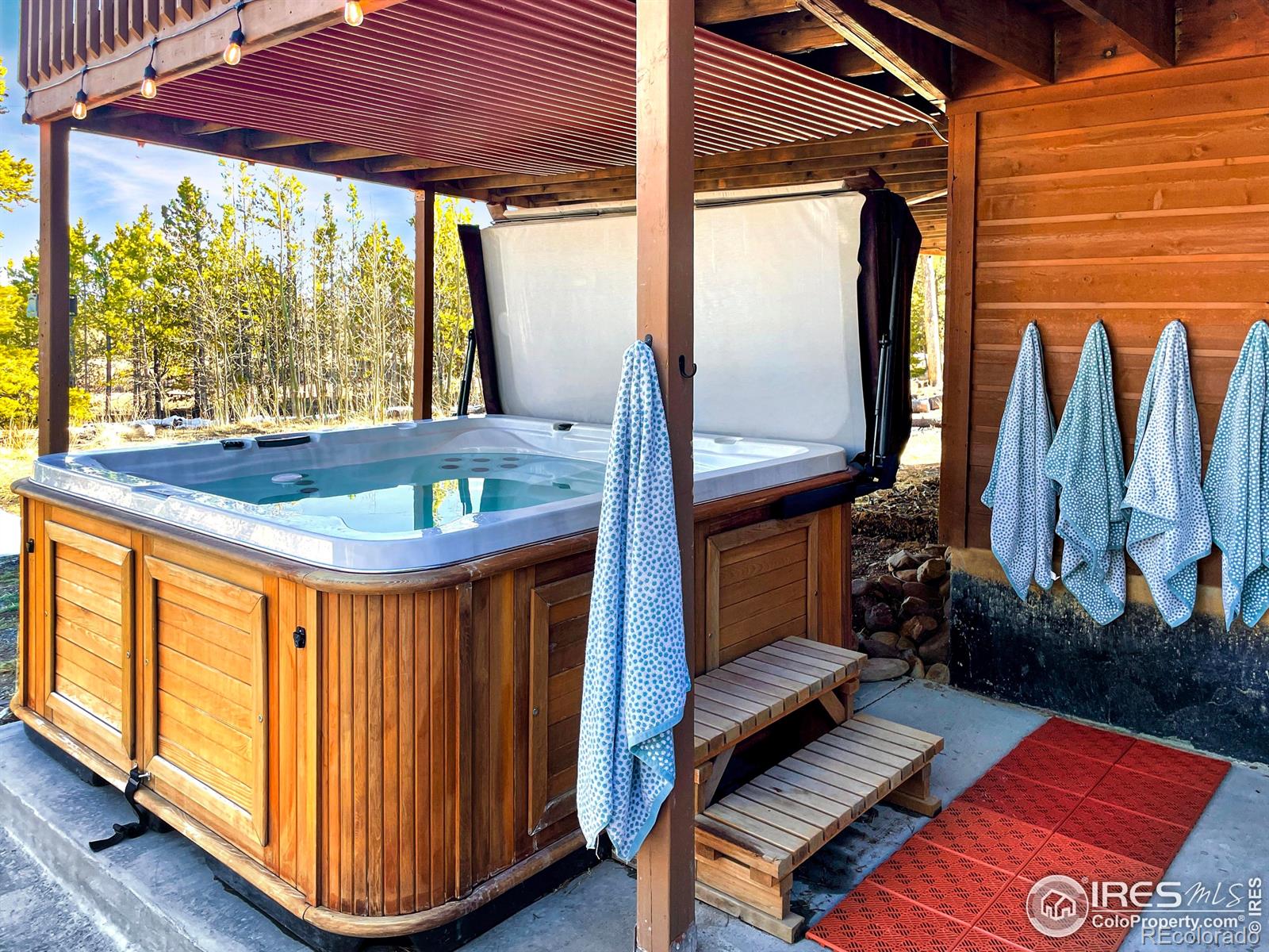 MLS Image #26 for 1954  bluestem way,fairplay, Colorado