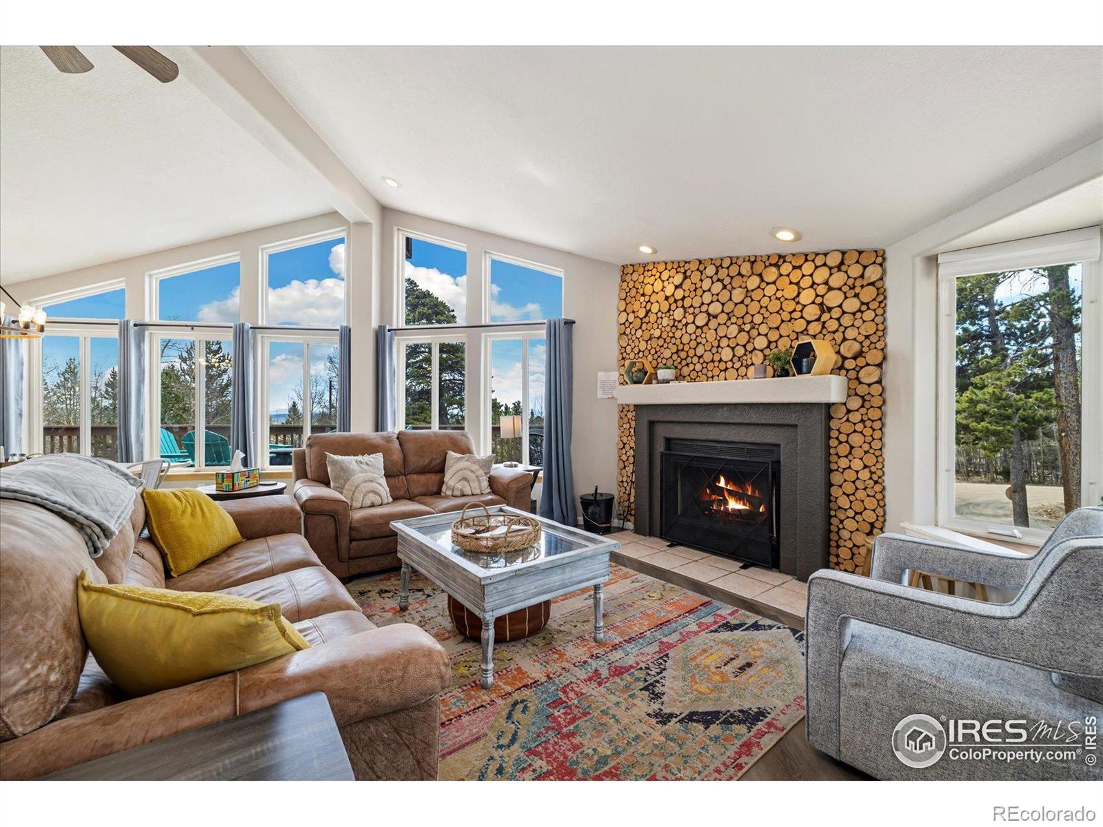 MLS Image #3 for 1954  bluestem way,fairplay, Colorado