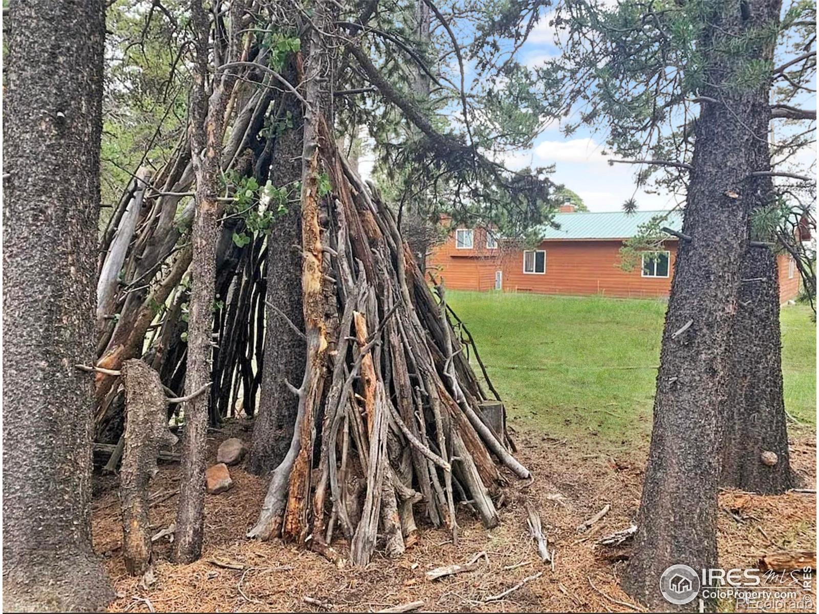 MLS Image #32 for 1954  bluestem way,fairplay, Colorado