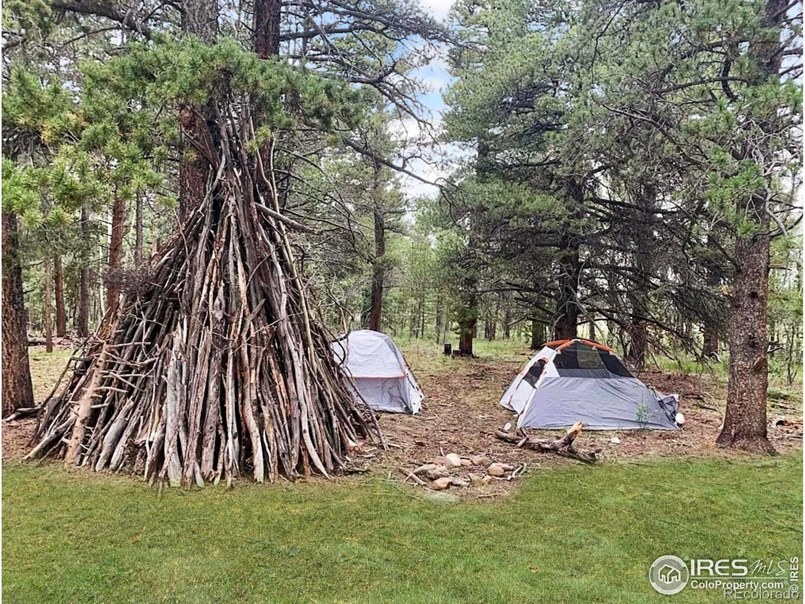 MLS Image #33 for 1954  bluestem way,fairplay, Colorado