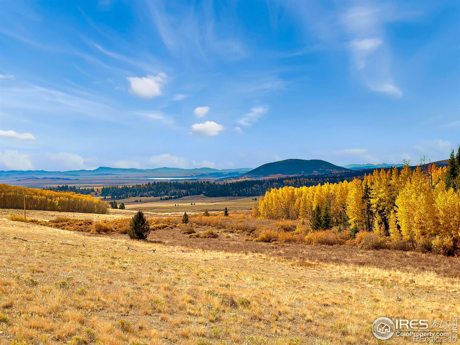 MLS Image #39 for 1954  bluestem way,fairplay, Colorado