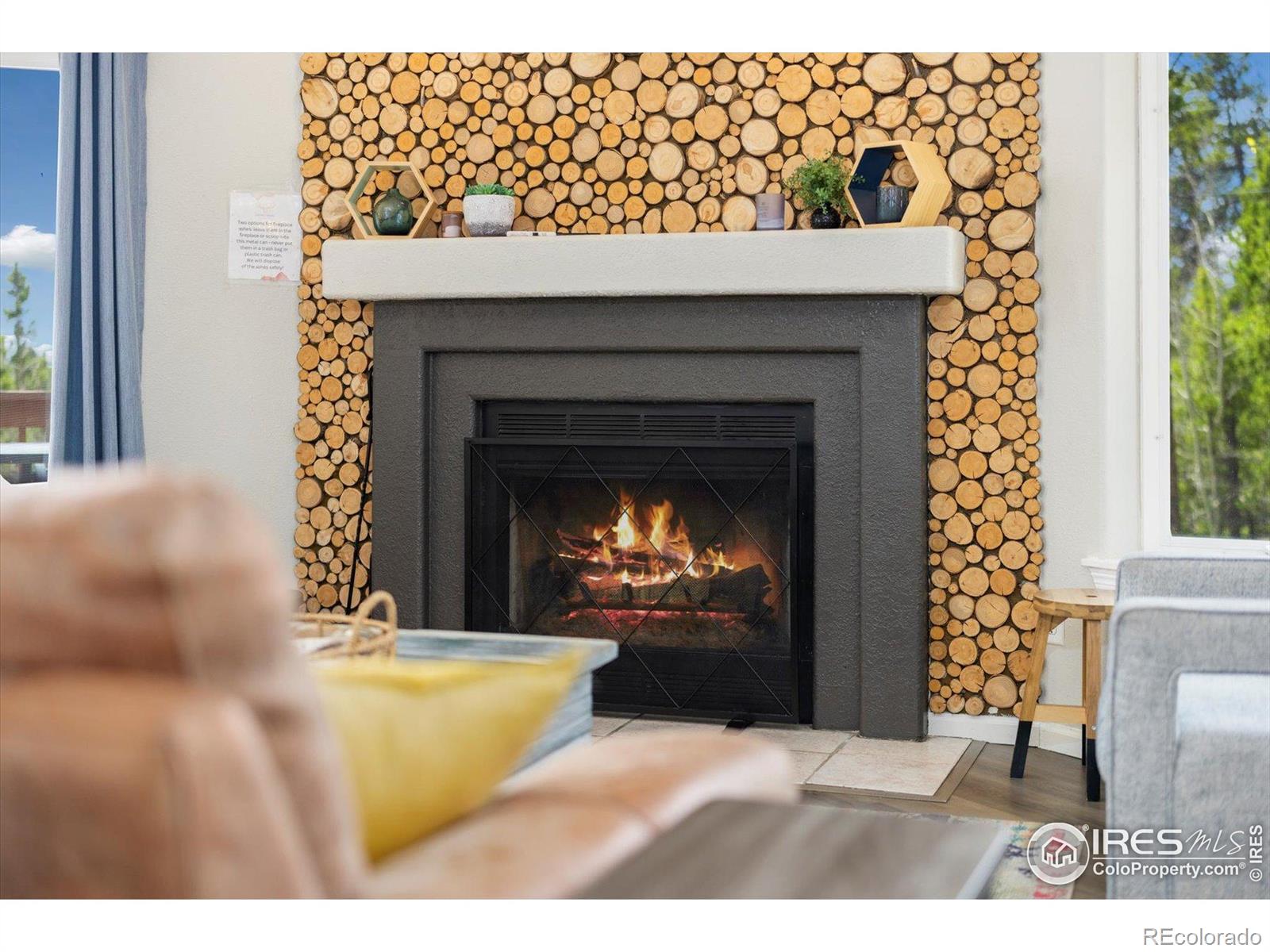 MLS Image #4 for 1954  bluestem way,fairplay, Colorado