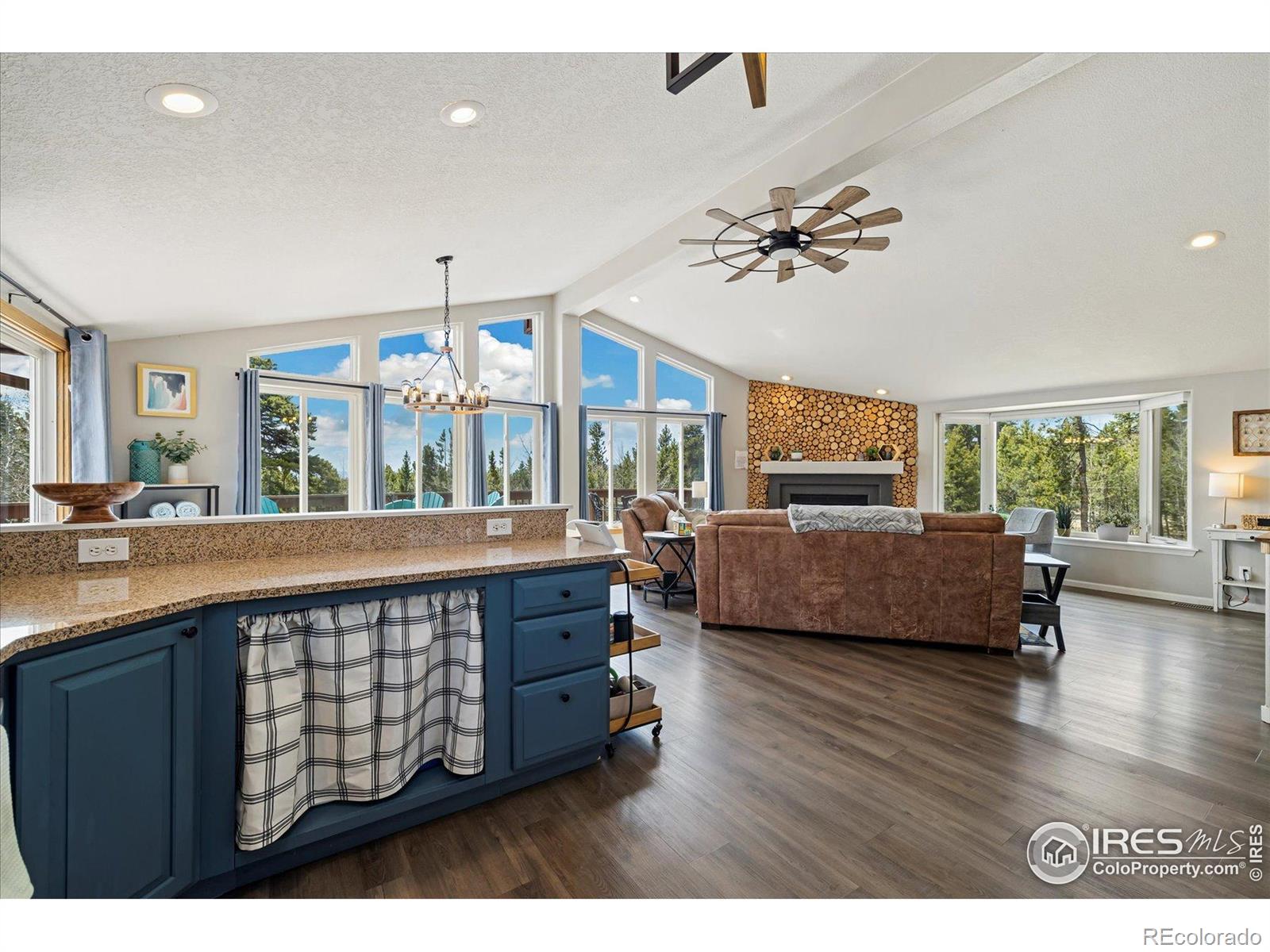 MLS Image #6 for 1954  bluestem way,fairplay, Colorado
