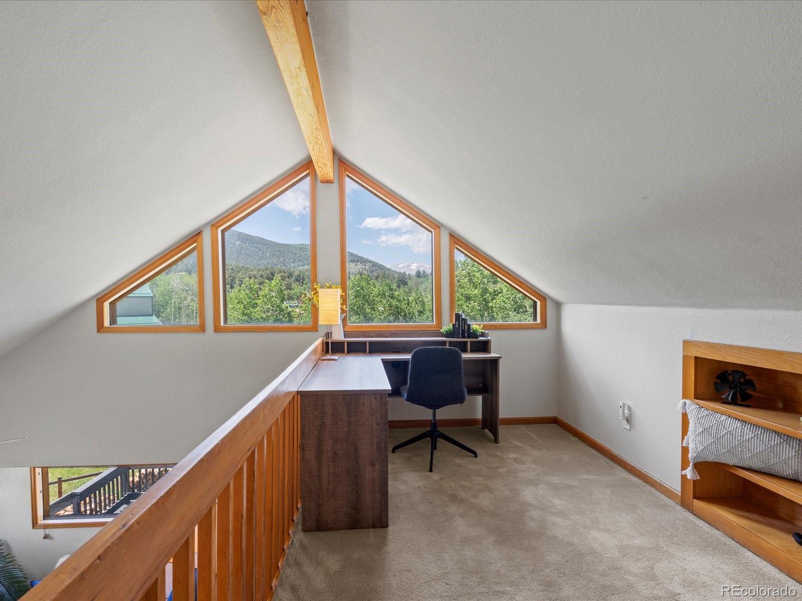 MLS Image #10 for 689 s pine drive,bailey, Colorado