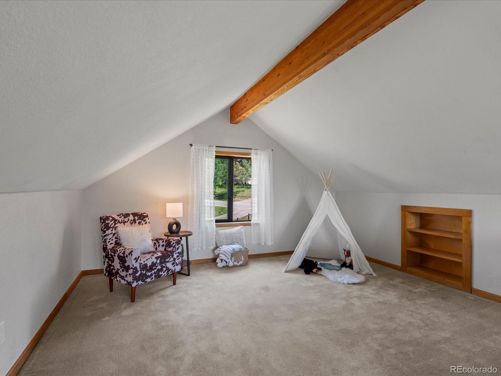 MLS Image #11 for 689 s pine drive,bailey, Colorado
