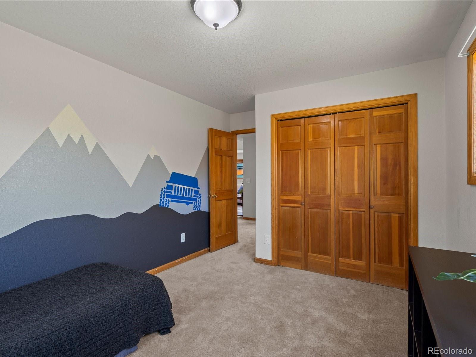 MLS Image #12 for 689 s pine drive,bailey, Colorado