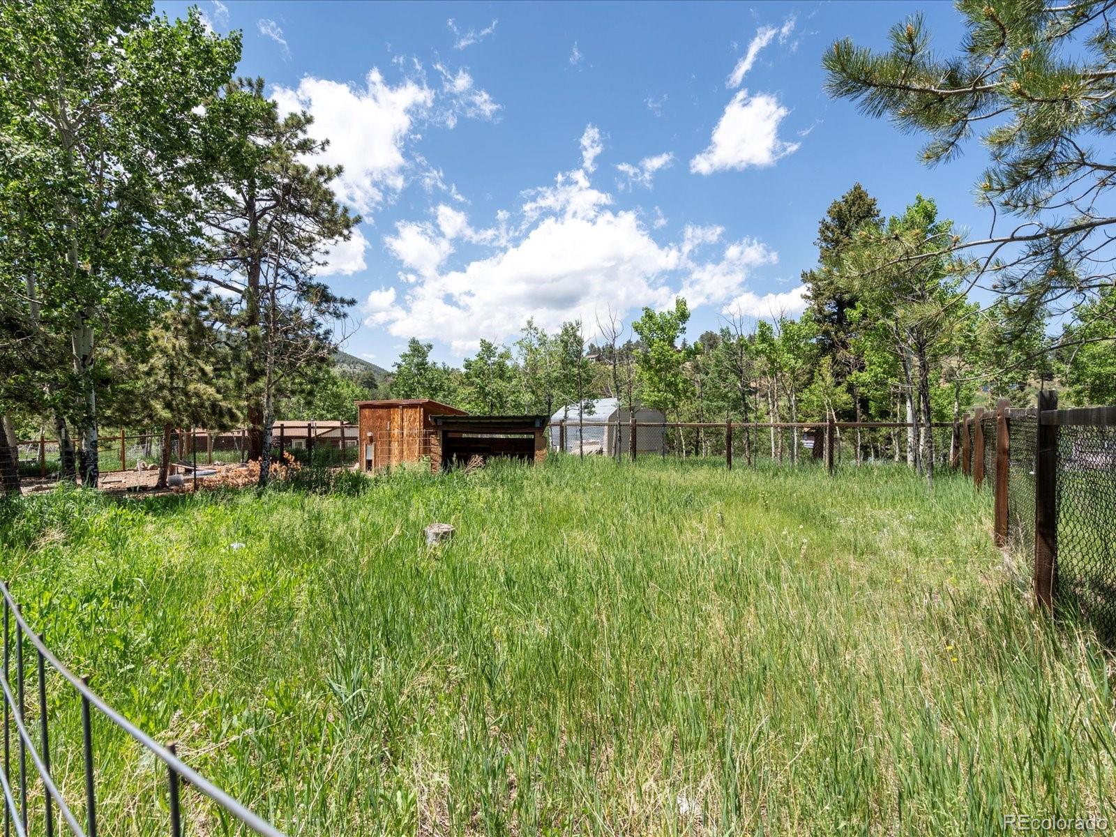 MLS Image #15 for 689 s pine drive,bailey, Colorado
