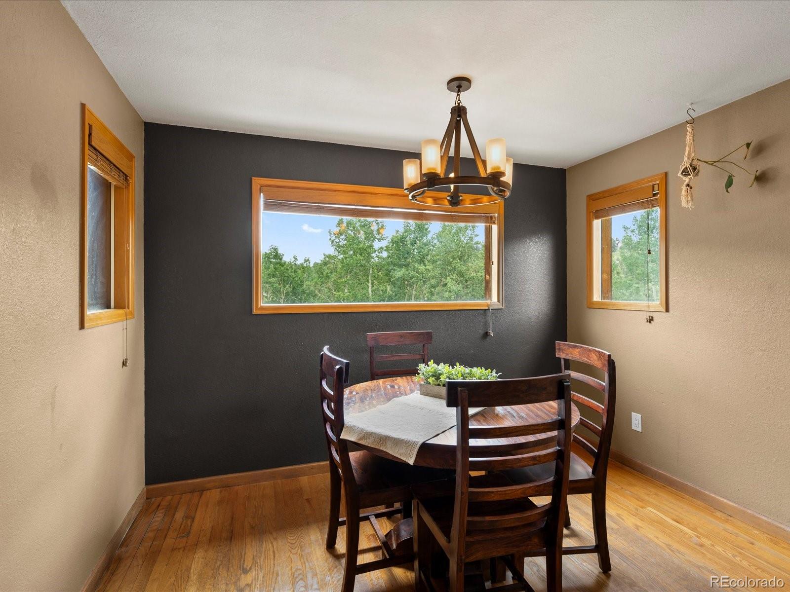 MLS Image #30 for 689 s pine drive,bailey, Colorado